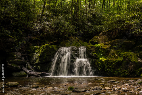 Rhododendron Bushes Surround The Mossy Rocks At The Top of Indian Flats Falls