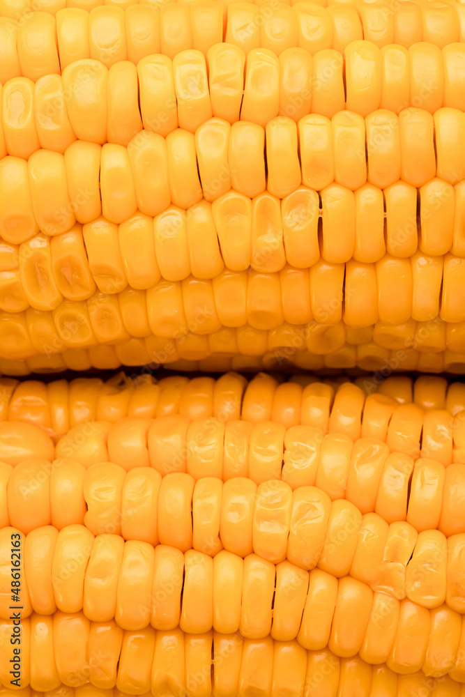 Fototapeta premium corn texture, yellow boiled corn is very close, boiled corn