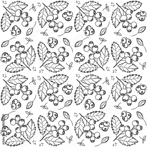 Sweet shadberry or blueberry repeating pattern. Seamless texture with wild berries. Fresh summer motives in black