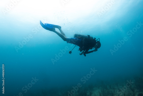 scuba diver in the caribbean sea enjoying the coral reef