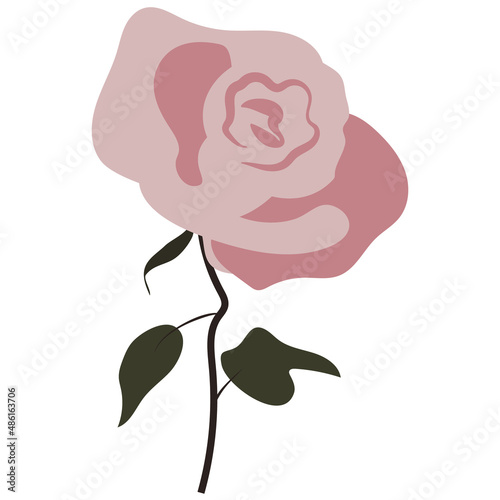 Rose, flower vector flat illustration