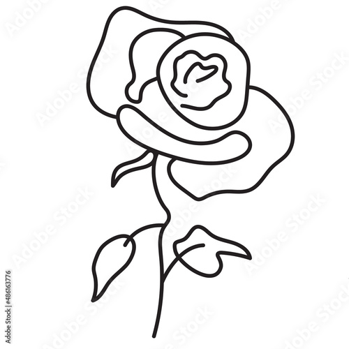 Rose, floral vector linear illustration