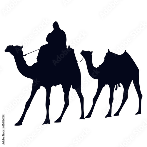 Vector Silhouette of Two Camels in Black