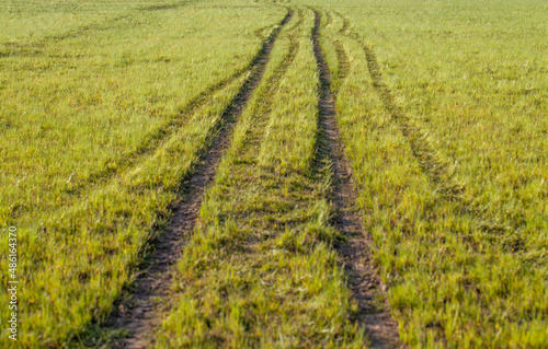 path in the fields 