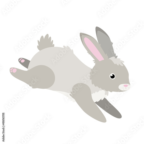 Cute rabbit in cartoon flat style. Isolated vector.