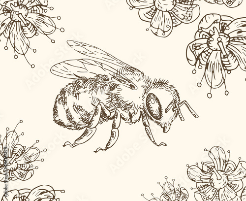 Honey bee with flowers. Vintage hatching style.
