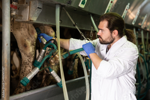 Farm milkmaid man in bathrobe working with automatical cow milking machines