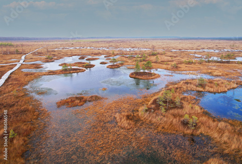 Swamp Yelnya in autumn landscape. Wild mire of Belarus. East European swamps and Peat Bogs. Ecological reserve in wildlife. Marshland at wild nature. Swampy land and wetland, marsh, bog.