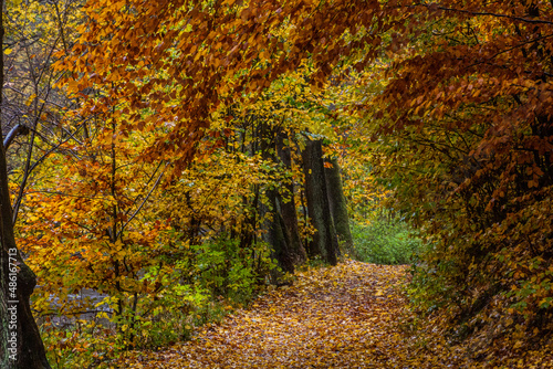 Autumn view of a path near Potstejn village  Czech Republic