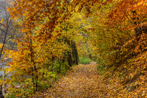 Autumn view of a path near Potstejn village, Czech Republic