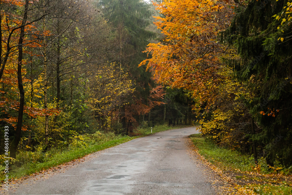 Autumn view of a road in the Czech Republic