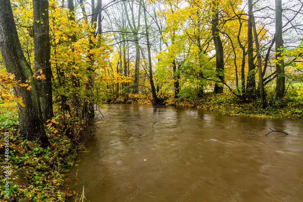 Fototapeta premium Ticha Orlice river in the Czech Republic