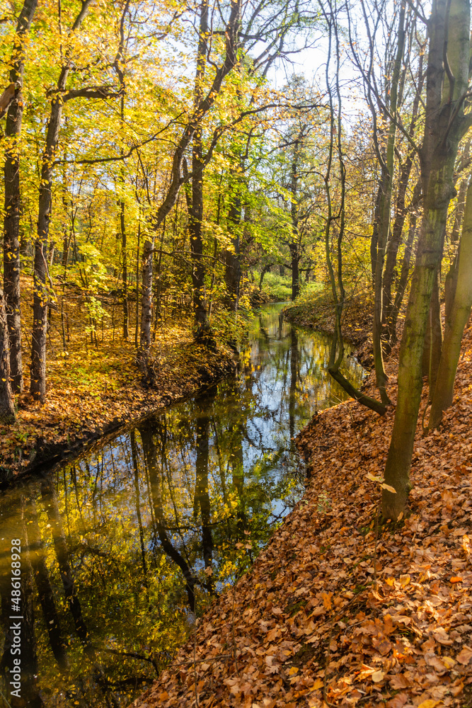 Autumn view of Botic stream in Prague, Czech Republic