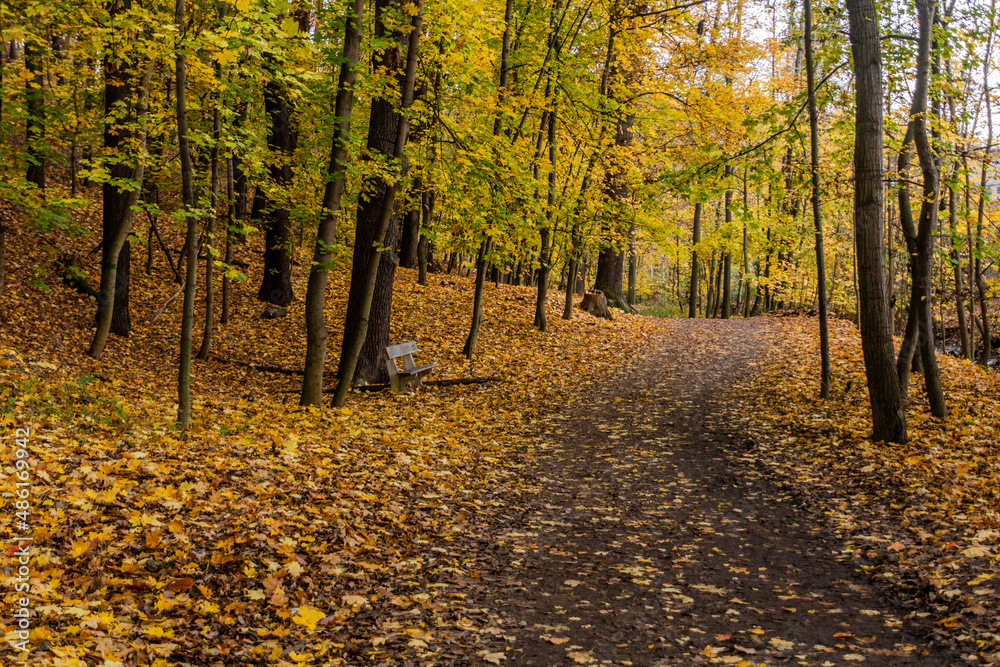 Fototapeta premium Autumn view of a forest path in Kunraticky forest in Prague, Czech Republic