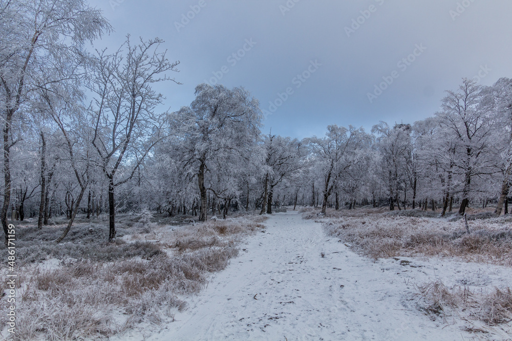 Winter view of a path through a forest at Decinsky Sneznik mountain in the Czech Republic Winter view of a path through a forest at Decinsky Sneznik mountain in the Czech Republic