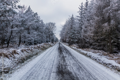 Winter view of a road near Tisa, Czech Republic