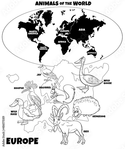 illustration with cartoon European animals color book page
