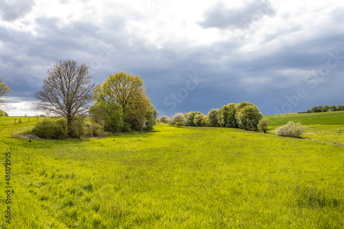 Fototapeta Naklejka Na Ścianę i Meble -  Meadows with dramatic Clouds