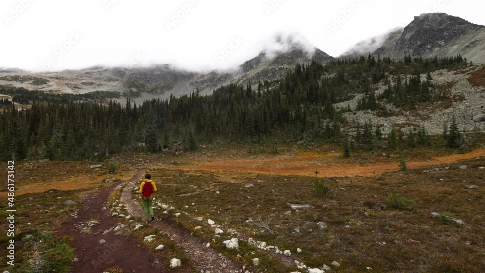 Adventure hiking woman walking on alpine hike on Blackcomb Mountain in Whistler. Tourist walking in summer or fall enjoying landscape nature in British Columbia, Canada Adventure hiking woman walking on alpine hike on Blackcomb Mountain in Whistler. Tourist walking in summer or fall enjoying landscape nature in British Columbia, Canada