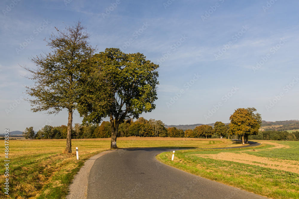 Fototapeta premium Rural road near Mlada Vozice town, Czech Republic