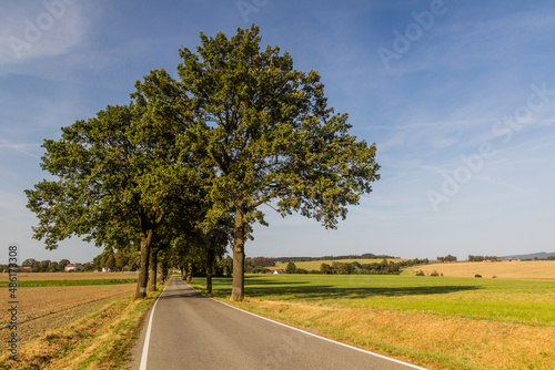 Fotografía Rural road near Tabor, Czech Republic