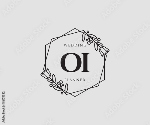 Initial OI feminine logo. Usable for Nature, Salon, Spa, Cosmetic and Beauty Logos. Flat Vector Logo Design Template Element.