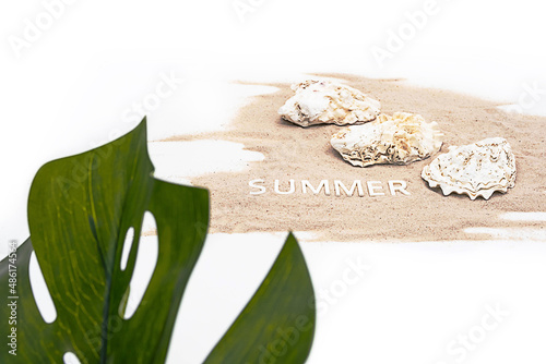 Fototapeta Naklejka Na Ścianę i Meble -  Summer mood creative arrangement. Monstera palm leaf, beautiful seashells, summer - word on white sands. 