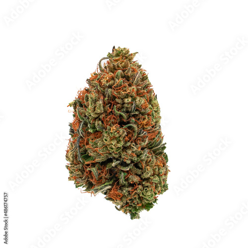 Marijuana Cannabis bud on white background photo