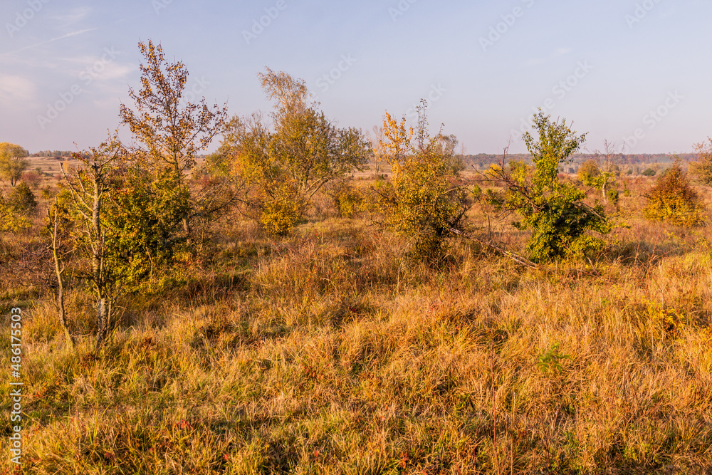  Landscape of Milovice Nature Reserve, Czech Republic