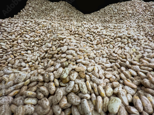 Pile of Pinto Bean .