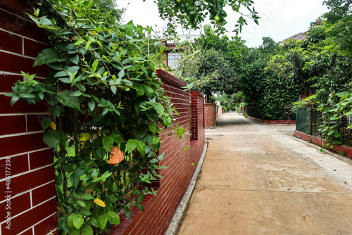Fototapeta Naklejka Na Ścianę i Meble -  japanese garden gate