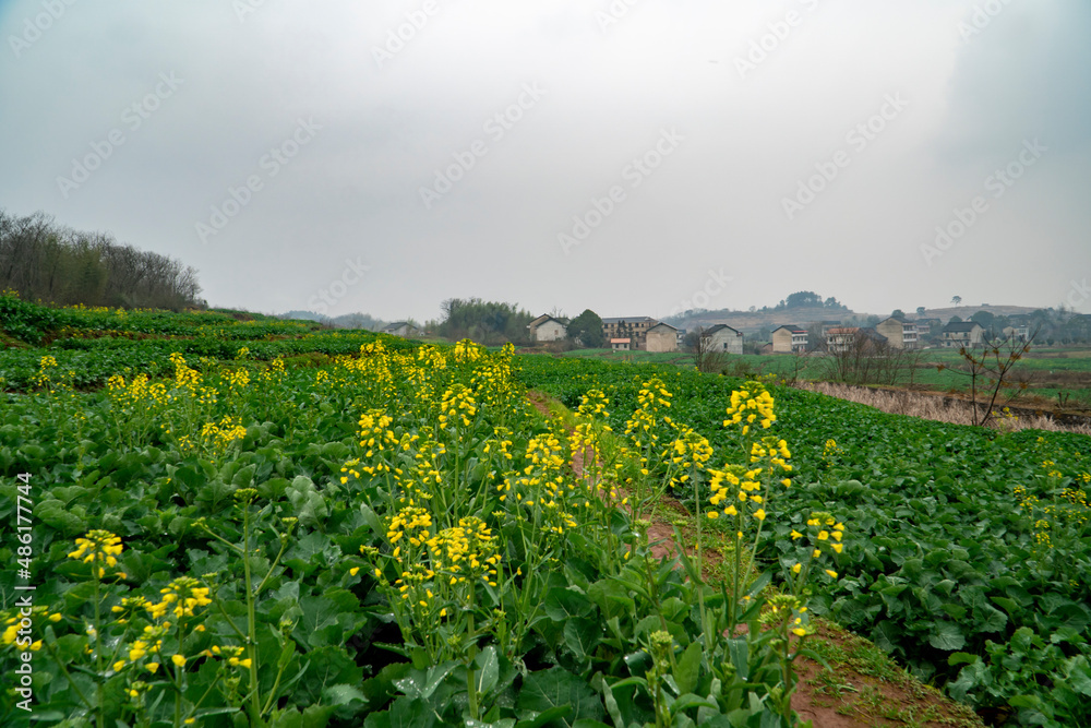 Rural landscape in Hunan, China