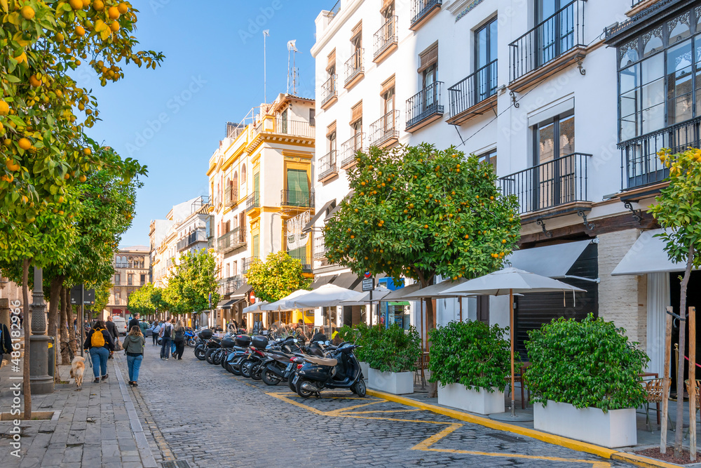 A typical Andalusian street lined with orange trees alongside the cathedral in the Barrio Santa Cruz district of Seville, Spain.