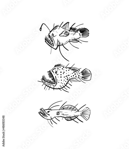 Angler Deep sea fish hand drawing set. Vector illustration