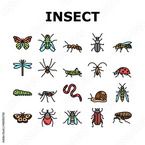 Insect, Spider And Bug Wildlife Icons Set Vector. Dragonfly And Butterfly, Ladybug And Cockroach, Grasshopper And Bumblebee, Mosquito And Caterpillar Insect Line. Color Illustrations © vectorwin