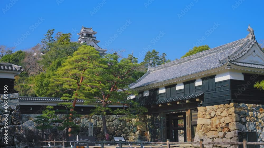 快晴の空の下の高知城天守閣　4K　UHD