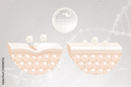 Hyaluronic acid before and after skin solutions ad, white collagen serum drops with cosmetic advertising background ready to use, illustration vector.