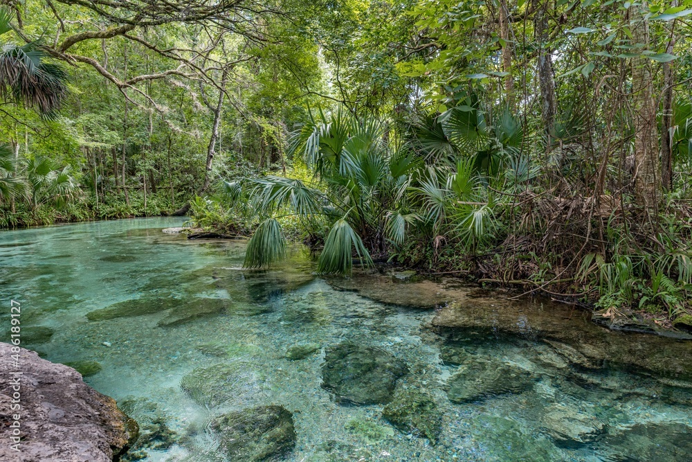 Obraz premium creative