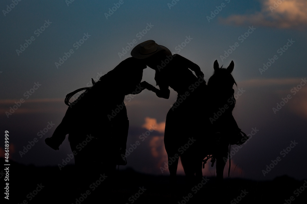 Cow boy Cowgirl Silhouette 