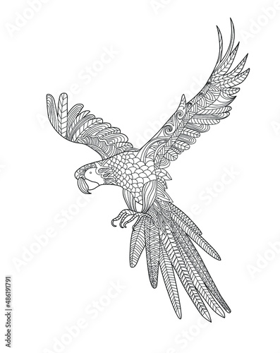 Ara parrot coloring page. Adult anti-stress coloring book. Zentangle. Black and white bird  doodle sketch