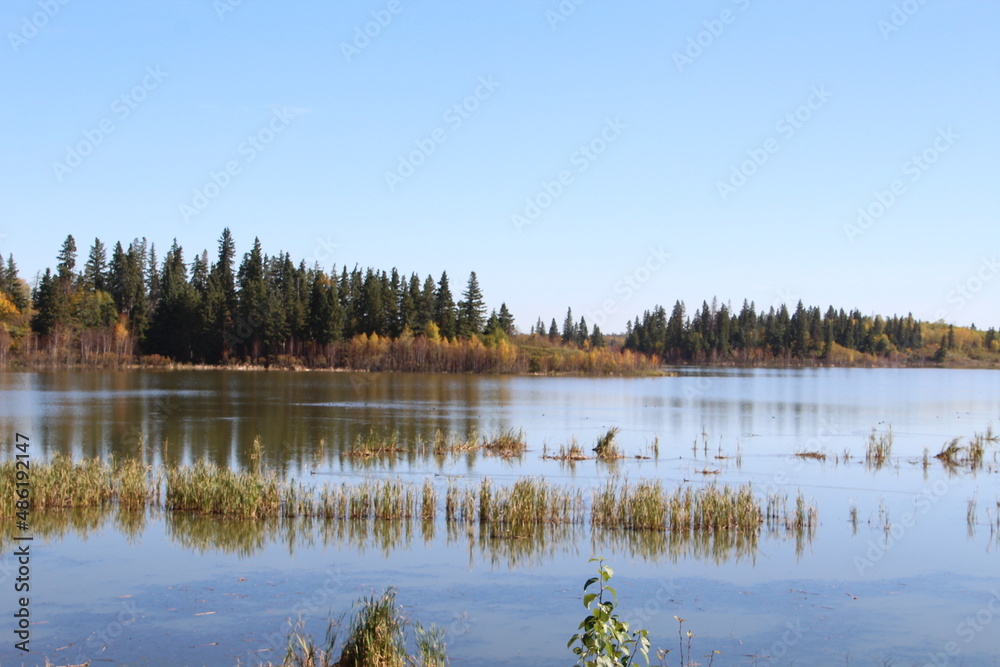 reflection of trees in the lake, Elk Island National Park, Alberta reflection of trees in the lake, Elk Island National Park, Alberta