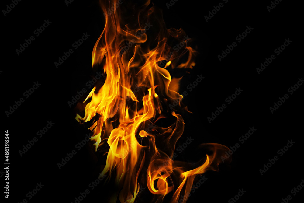 Fototapeta premium Fire flames on a black background