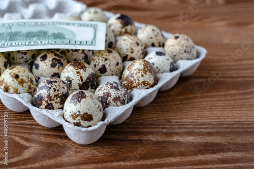 quail eggs in cardboard packaging on wooden background for sale to customer. On top are money, dollars. Selective focus. Business quail breeding, poultry farming