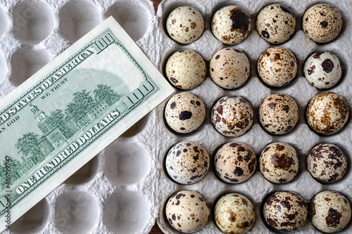 quail eggs in cardboard packaging for sale to customer. On top are money, dollars. Selective focus. Top view. Business quail breeding, poultry farming. Healthy food, diet