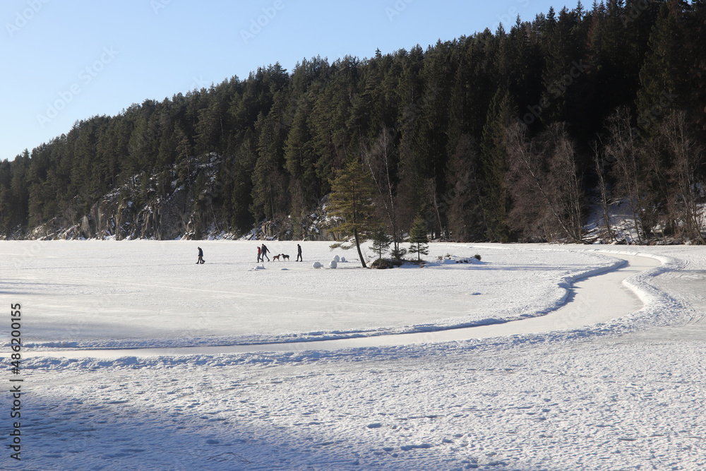 winter winter