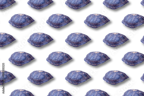 Turtle shells isometric pattern on white background