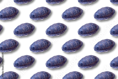 Turtle shell isometric pattern on white background
