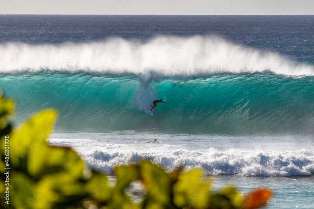 Hawaiian Surf - obrazy, fototapety, plakaty 