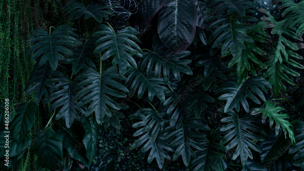 Creative nature green background, tropical leaf banner or floral jungle pattern concept. Creative nature green background, tropical leaf banner or floral jungle pattern concept.