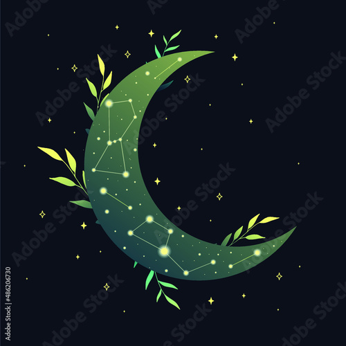 Green crescent with stars, constellations and herbs. For print for T-shirts and bags, decor element. Mystical and magical, astrology illustration